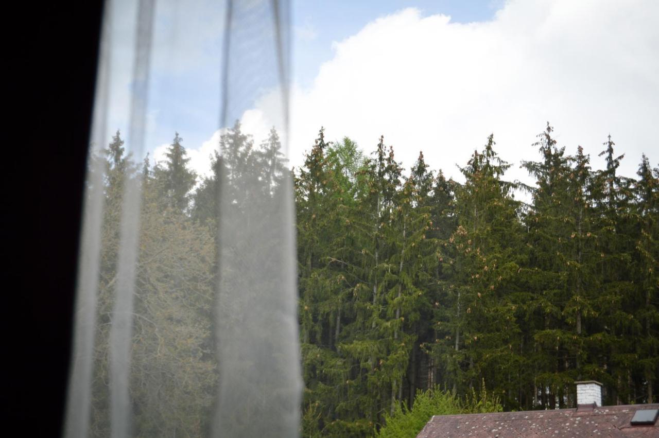 Apartmany Okrouhla Nový Bor Buitenkant foto